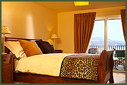 click to enlarge - cutting edge designs in the comfort of your own home